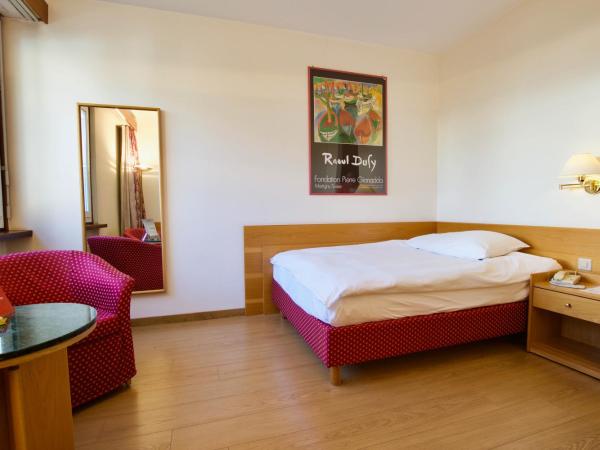 Hôtel du Rhône : photo 5 de la chambre chambre simple