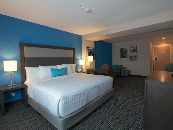 CHN Hotel Monterrey Aeropuerto, Trademark by Wyndham : photo 4 de la chambre chambre lit king-size exécutive deluxe - non-fumeurs