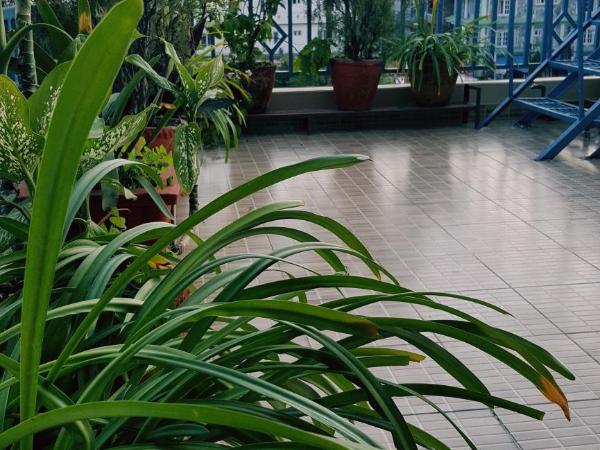 Nanohana Lodge : photo 7 de la chambre chambre double ou lits jumeaux deluxe - vue sur montagne