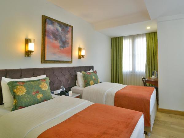 Istanbul Life Hotel : photo 1 de la chambre chambre lits jumeaux - non-fumeurs