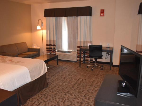 Hawthorn Suites Las Vegas : photo 6 de la chambre chambre exécutive lit king-size - non-fumeurs