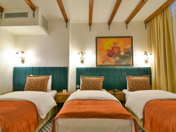 Istanbul Life Hotel : photo 4 de la chambre suite mahsen (hébergement en sous-sol)