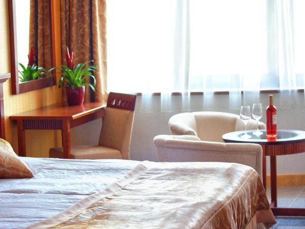 Actor Hotel Budapest : photo 3 de la chambre chambre double/lits jumeaux supérieure