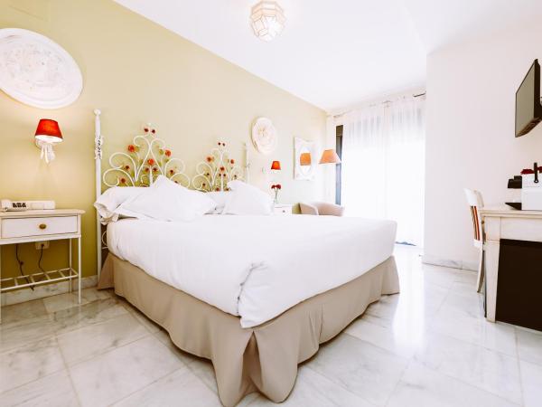 Basic Hotel Doña Manuela : photo 3 de la chambre chambre double supérieure avec terrasse privée