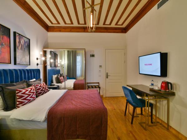 Istanbul Life Hotel : photo 1 de la chambre suite exécutive