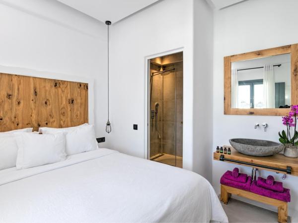 Portes Suites & Villas Mykonos : photo 9 de la chambre villa 3 chambres avec piscine privée