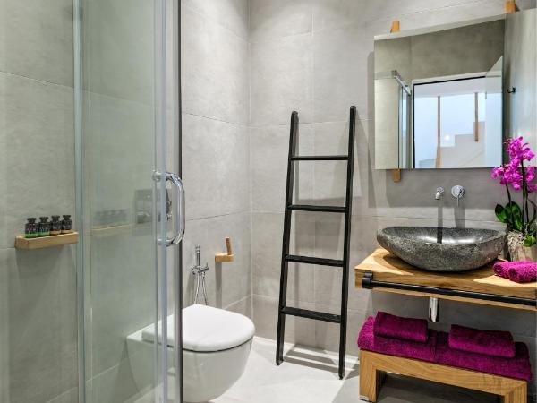 Portes Suites & Villas Mykonos : photo 10 de la chambre villa 3 chambres avec piscine privée