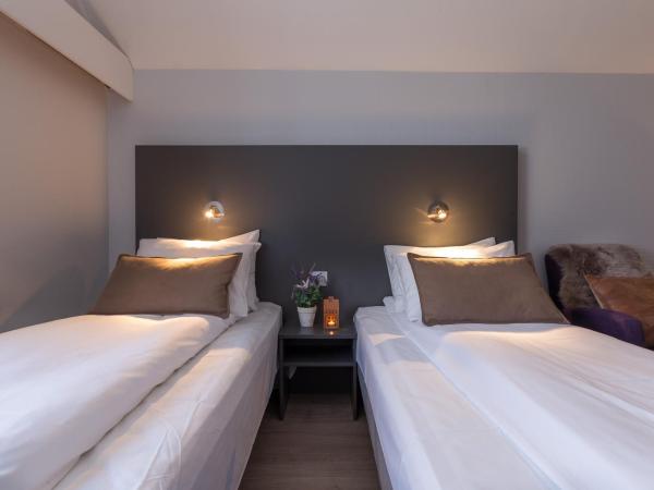 Enter Viking Hotel : photo 5 de la chambre chambre double ou lits jumeaux