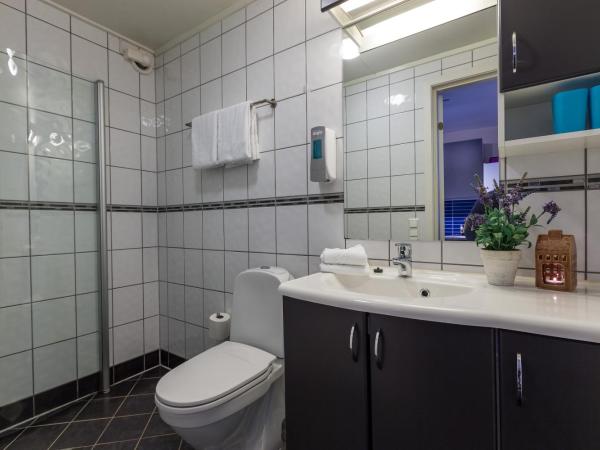 Enter Viking Hotel : photo 4 de la chambre studio