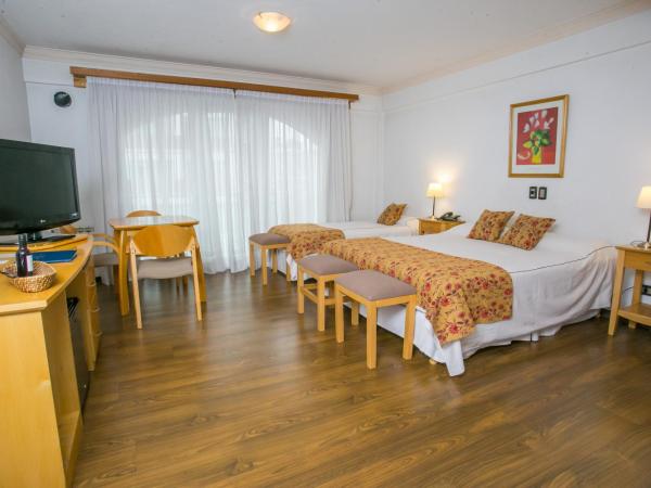 Hotel Ayres Del Nahuel : photo 3 de la chambre chambre double classique