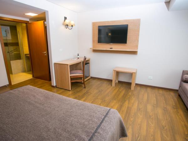 Hotel Ayres Del Nahuel : photo 7 de la chambre chambre double - accessible aux personnes à mobilité réduite 