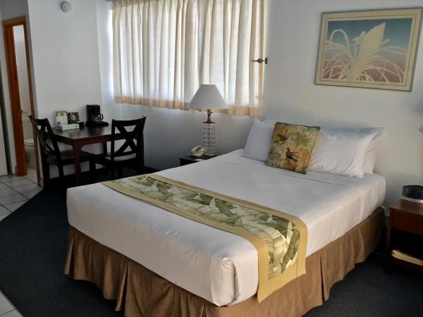 Holiday Surf Hotel (with full kitchen) : photo 3 de la chambre hébergement 1 chambre lit queen-size - non remboursable