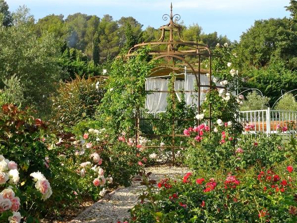 MAS DES FIGUES - Mas XVIII siècle - Piscine - très calme - Alpilles Saint Rémy de Provence - brunch méditerranéen salé sucré cuisine faite maison - ferme auberge agritourisme - Biologique FRBio potager bio huile d'olive bio jardin roseraie Biodiversité - : photo 10 de la chambre maison 2 chambres
