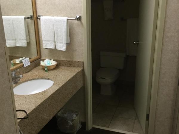 Quality Inn & Suites Downtown - University Area : photo 3 de la chambre chambre lit king-size - vue sur piscine - non-fumeurs