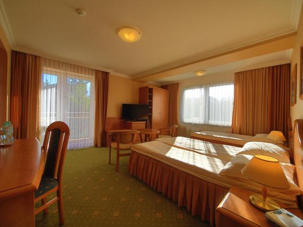 Hotel Polaris III : photo 9 de la chambre chambre triple avec balcon