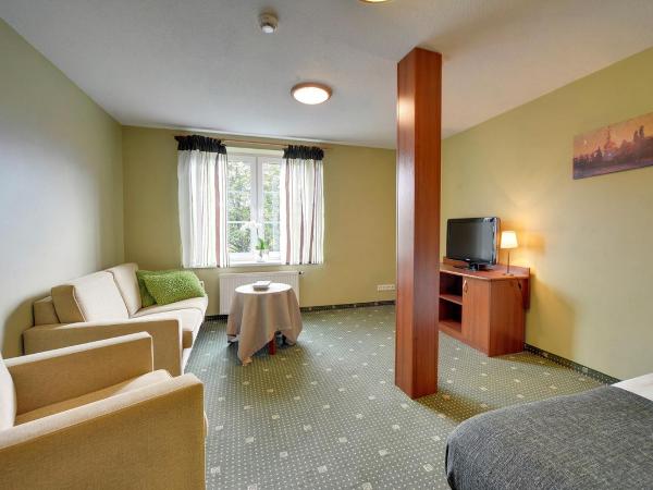 Hotel Belweder - przy hotelu Golebiewski : photo 1 de la chambre studio