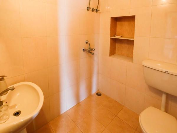 Silver Moon Haveli : photo 6 de la chambre studio