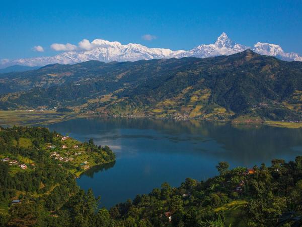 Hotel Asia : photo 10 de la chambre chambre deluxe