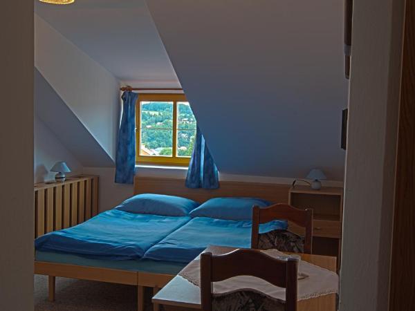 Penzion Gerta : photo 5 de la chambre chambre double ou lits jumeaux