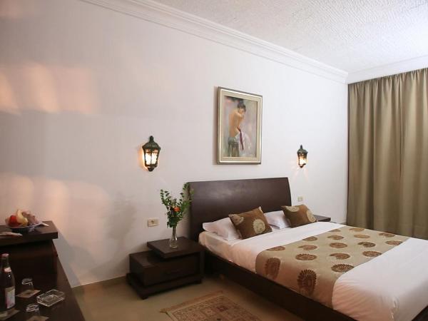 Hotel Les Palmiers : photo 4 de la chambre suite avec jacuzzi