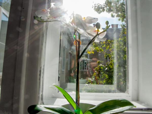 Zagreb City Vibe Apartments & Rooms : photo 4 de la chambre chambre double ou lits jumeaux avec lit d'appoint