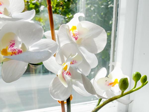 Zagreb City Vibe Apartments & Rooms : photo 9 de la chambre chambre double ou lits jumeaux avec lit d'appoint