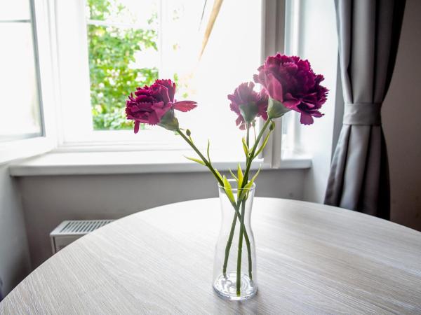 Zagreb City Vibe Apartments & Rooms : photo 10 de la chambre studio triple standard