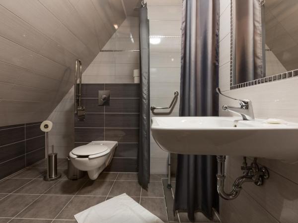 Willa Stachoń : photo 1 de la chambre chambre double - accessible aux personnes à mobilité réduite 