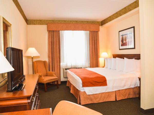 Country Inn & Suites by Radisson, London South, ON : photo 3 de la chambre chambre lit king-size