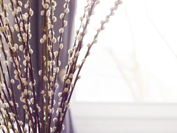 TM Suites : photo 10 de la chambre chambre quadruple supérieure