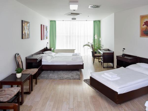 Hotel Ankora : photo 1 de la chambre chambre quadruple