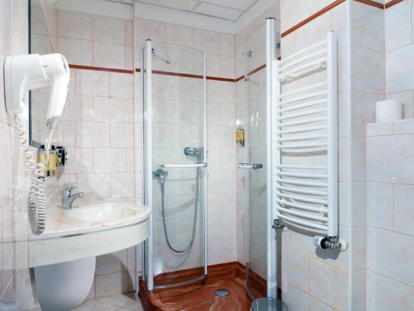 Hotel Ruze : photo 4 de la chambre chambre simple
