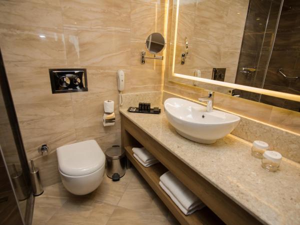 SKY Business Hotel : photo 4 de la chambre suite familiale