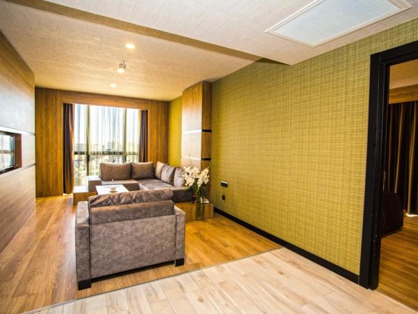 SKY Business Hotel : photo 2 de la chambre suite familiale