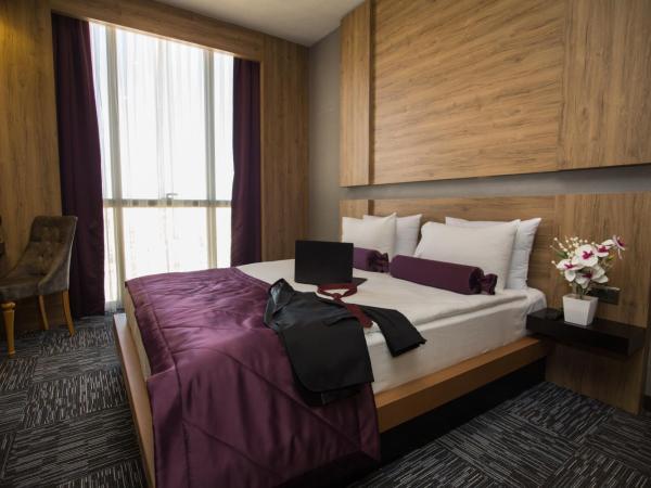 SKY Business Hotel : photo 3 de la chambre suite affaires