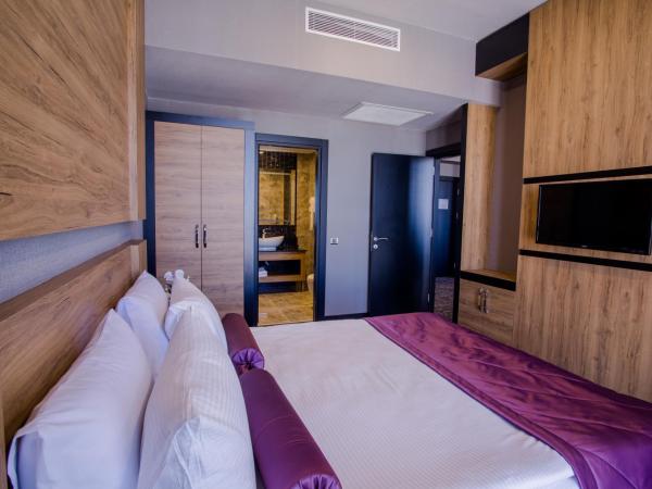 SKY Business Hotel : photo 4 de la chambre suite affaires