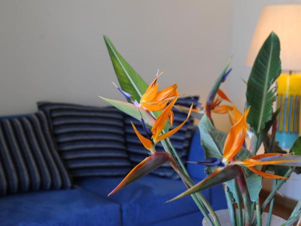 Quarté Sayàl : photo 5 de la chambre hébergement 2 chambres communicantes - vue sur mer