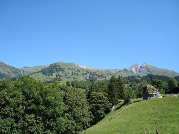 Hotel Wetterhorn : photo 4 de la chambre chambre double