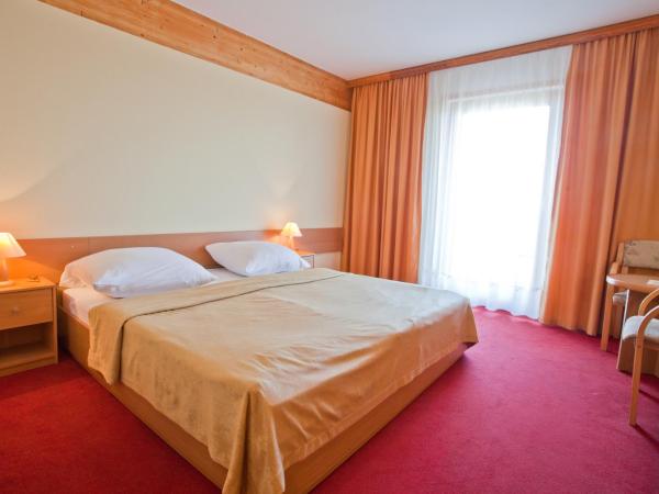 Hotel Panorama : photo 2 de la chambre chambre double ou lits jumeaux