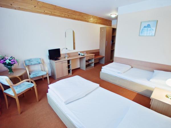 Hotel Panorama : photo 4 de la chambre chambre double ou lits jumeaux