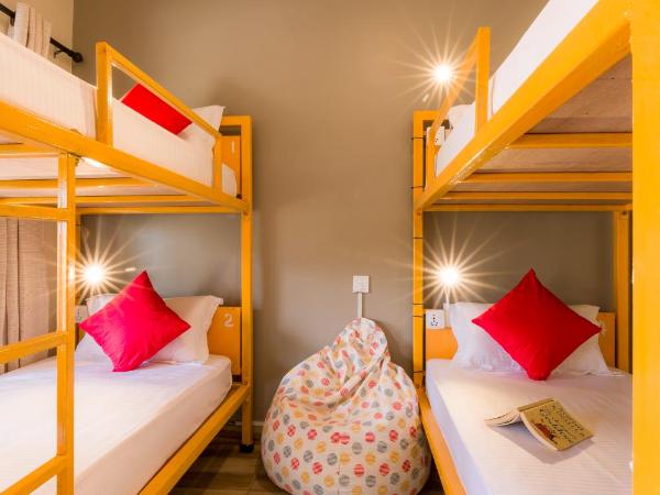 Zostel Pokhara : photo 1 de la chambre lit dans dortoir pour femmes de 4 lits