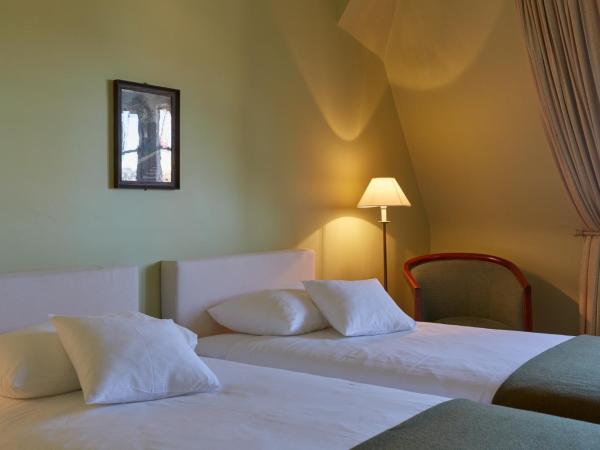 hotel brasserie au violon : photo 5 de la chambre chambre lits jumeaux standard