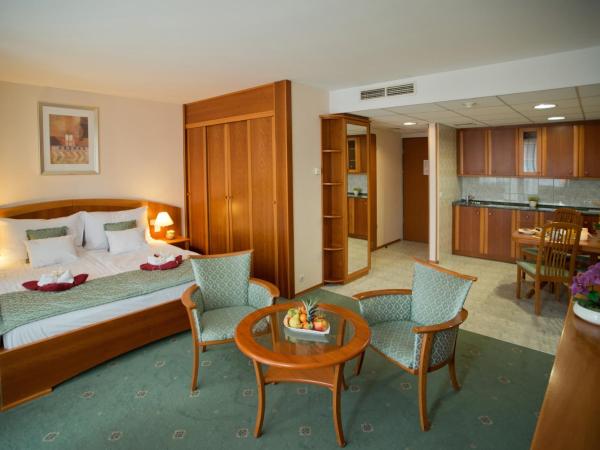 Palace Hotel Hévíz : photo 5 de la chambre chambre double