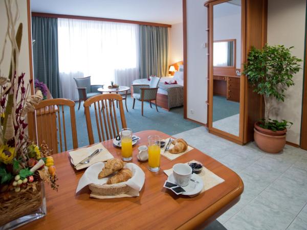 Palace Hotel Hévíz : photo 6 de la chambre chambre double