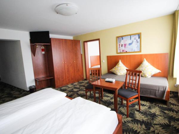 Hotel Der Tannenbaum : photo 2 de la chambre chambre familiale standard