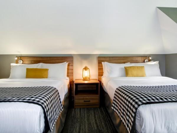Canalta Lodge : photo 1 de la chambre chambre 2 lits queen-size - animaux domestiques admis