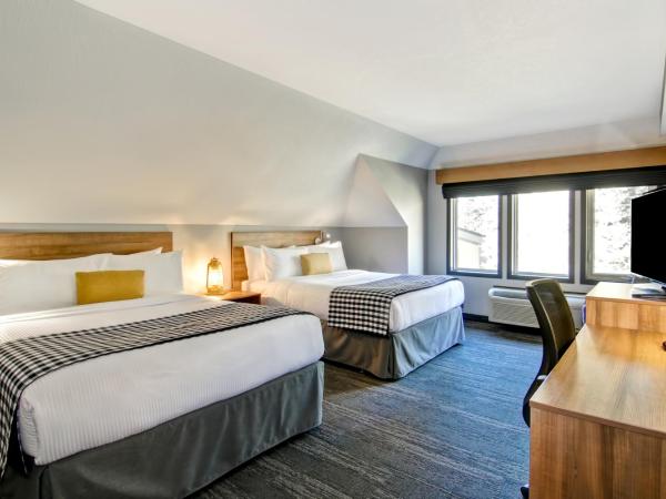 Canalta Lodge : photo 2 de la chambre chambre 2 lits queen-size - animaux domestiques admis