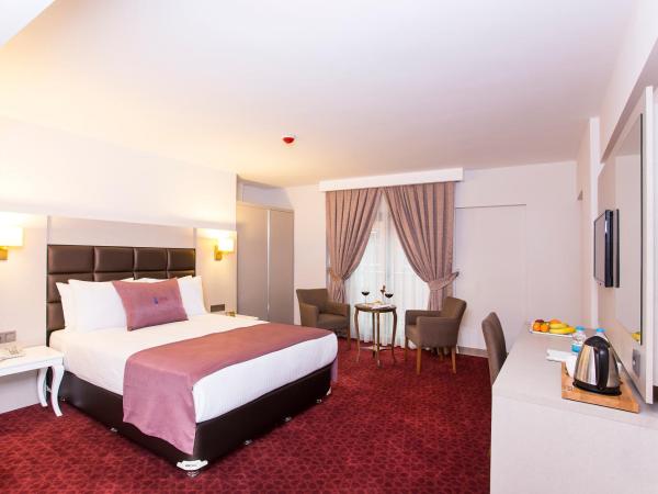 Perla Arya Hotel : photo 5 de la chambre chambre double standard