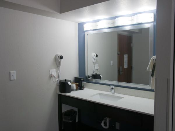 Wingate by Wyndham Louisville Airport Expo Center : photo 1 de la chambre chambre lit king-size - accessible aux personnes à mobilité réduite - non-fumeurs 
