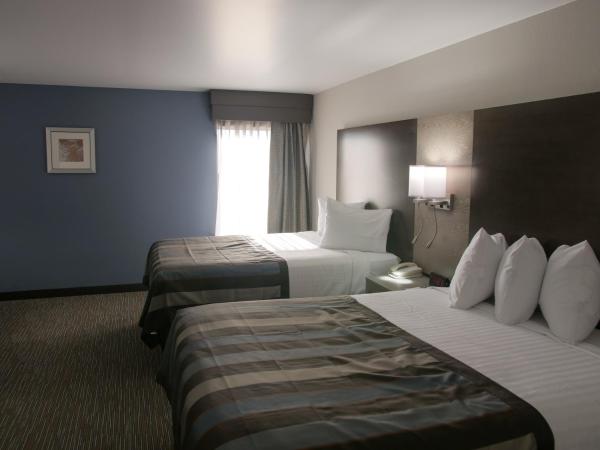 Wingate by Wyndham Louisville Airport Expo Center : photo 4 de la chambre chambre 2 lits queen-size - accessible aux personnes à mobilité réduite - non-fumeurs